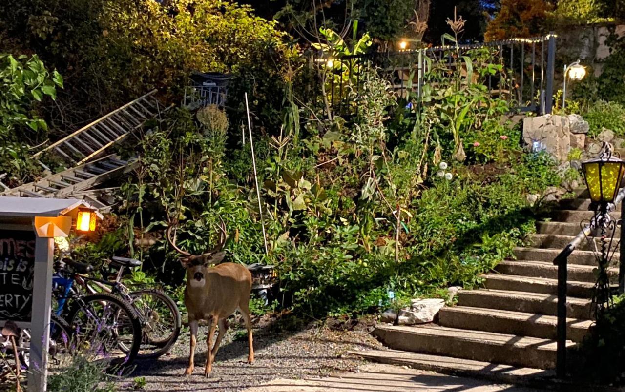 Hudson Homes Bnb Saanich Kültér fotó